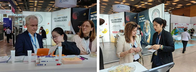 zoty中欧·(中国有限公司)官方网站