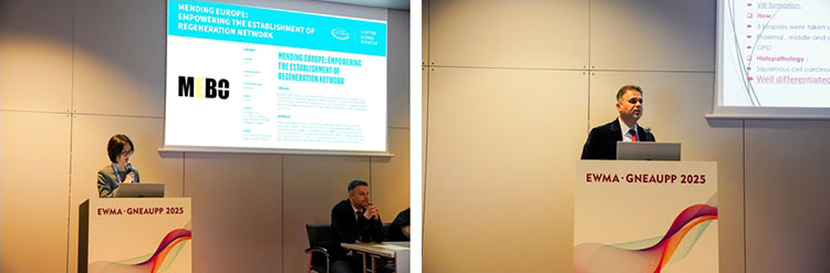 zoty中欧·(中国有限公司)官方网站