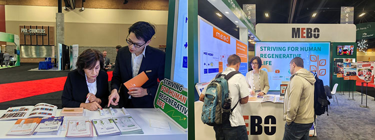 zoty中欧·(中国有限公司)官方网站