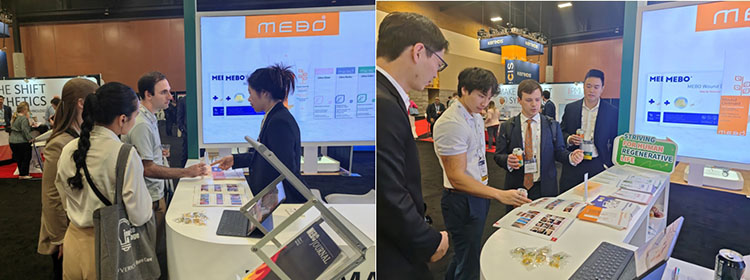 zoty中欧·(中国有限公司)官方网站