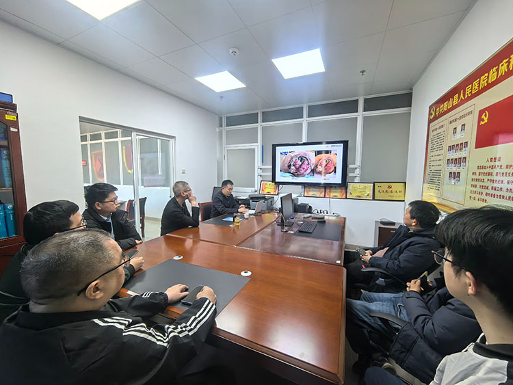 zoty中欧·(中国有限公司)官方网站