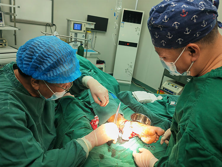 zoty中欧·(中国有限公司)官方网站