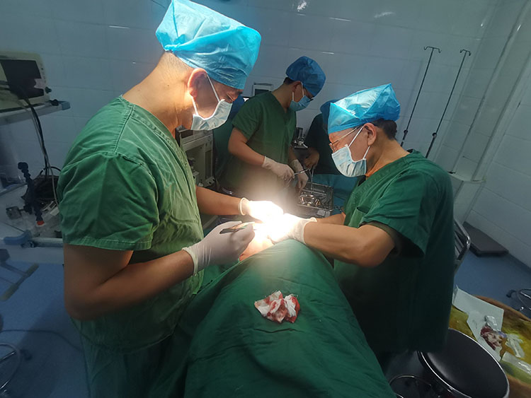 zoty中欧·(中国有限公司)官方网站