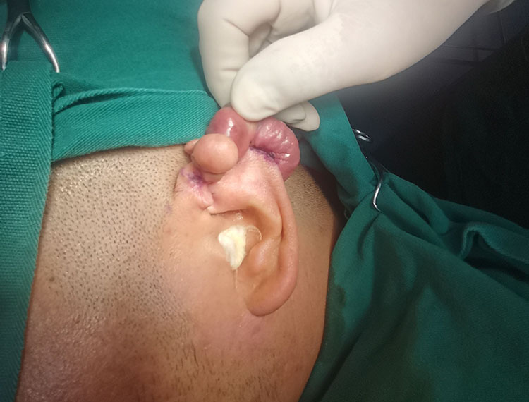 zoty中欧·(中国有限公司)官方网站