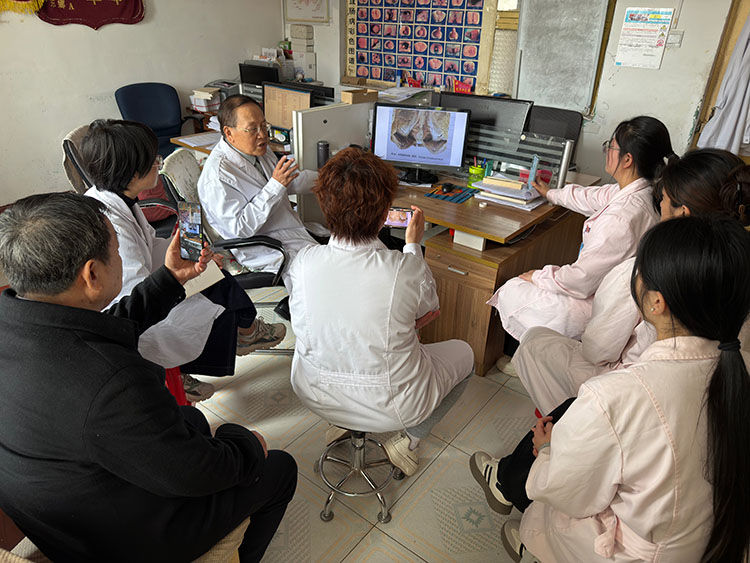 zoty中欧·(中国有限公司)官方网站