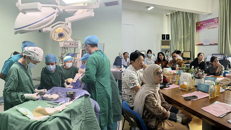 zoty中欧·(中国有限公司)官方网站