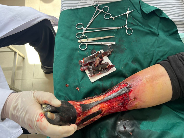 zoty中欧·(中国有限公司)官方网站