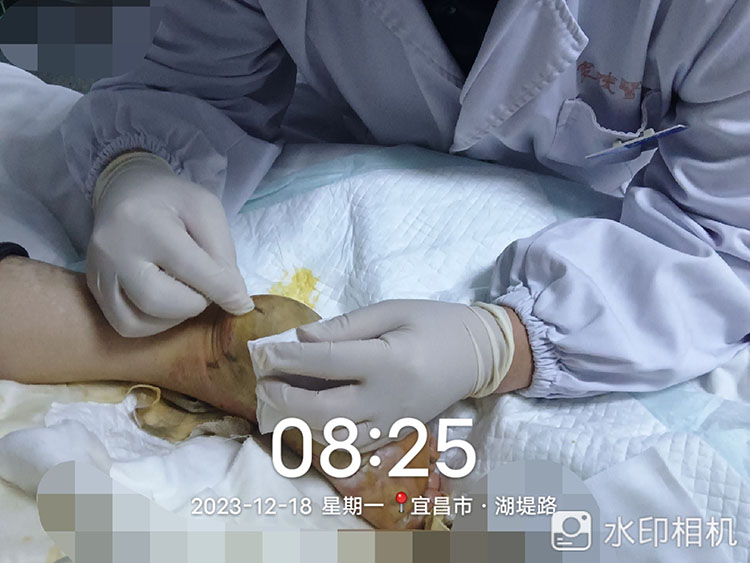 zoty中欧·(中国有限公司)官方网站