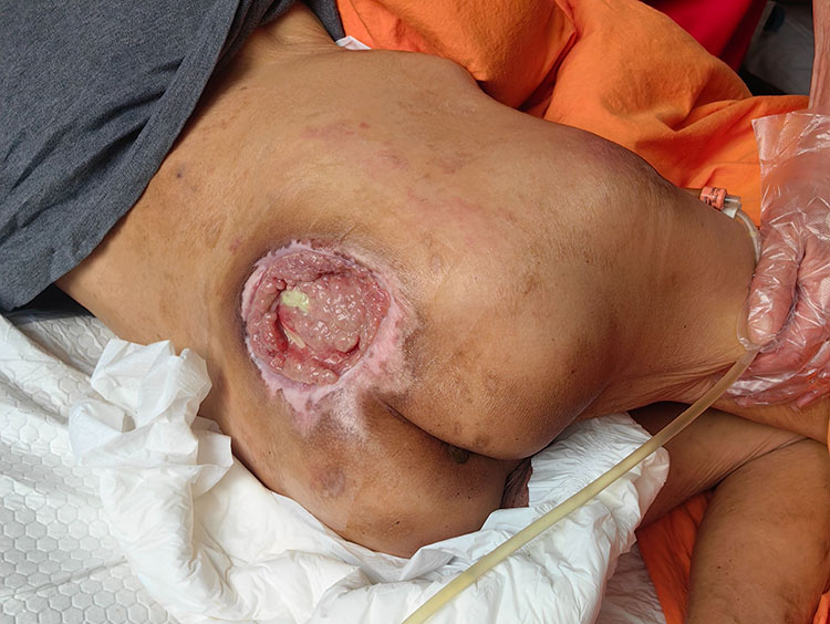 zoty中欧·(中国有限公司)官方网站