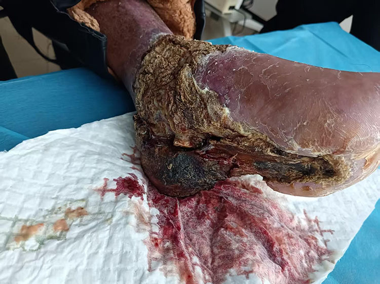 zoty中欧·(中国有限公司)官方网站