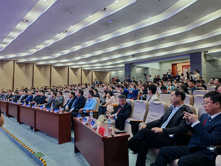 zoty中欧·(中国有限公司)官方网站