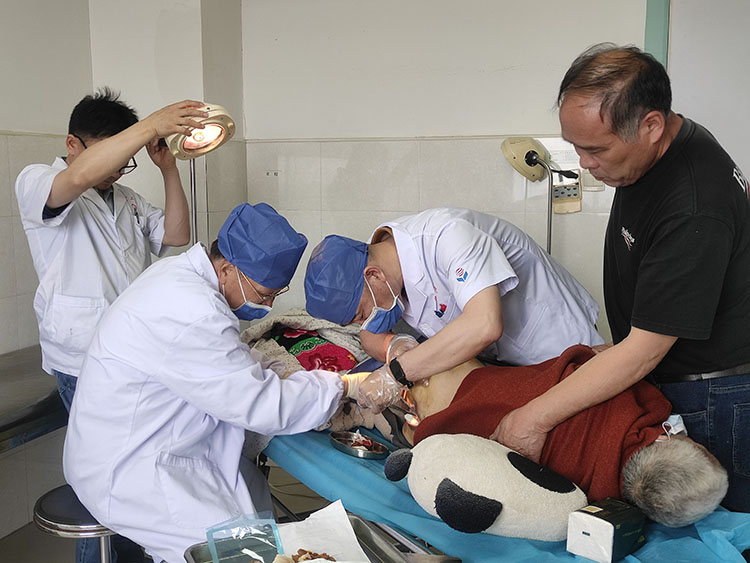 zoty中欧·(中国有限公司)官方网站