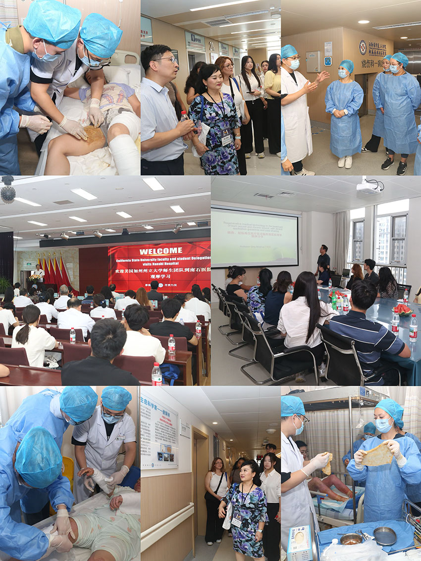 zoty中欧·(中国有限公司)官方网站