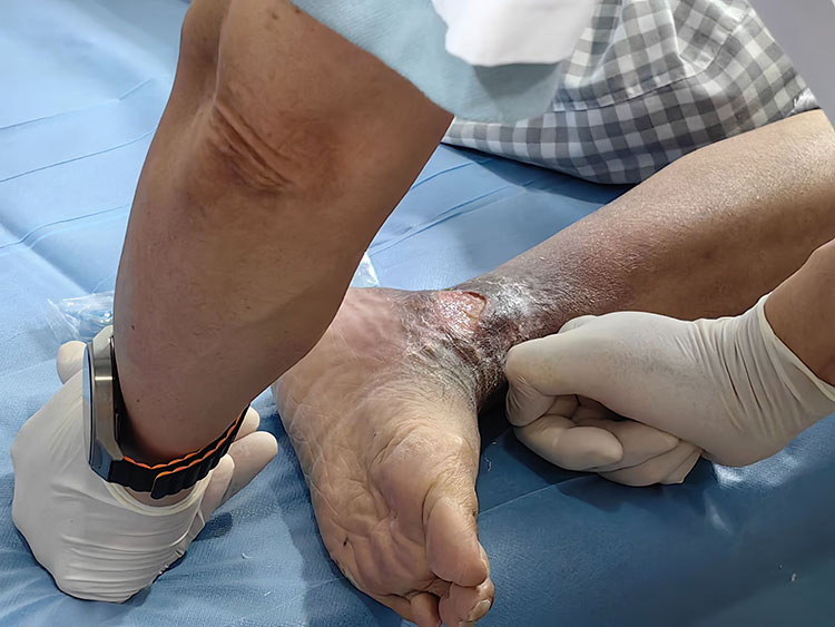 zoty中欧·(中国有限公司)官方网站