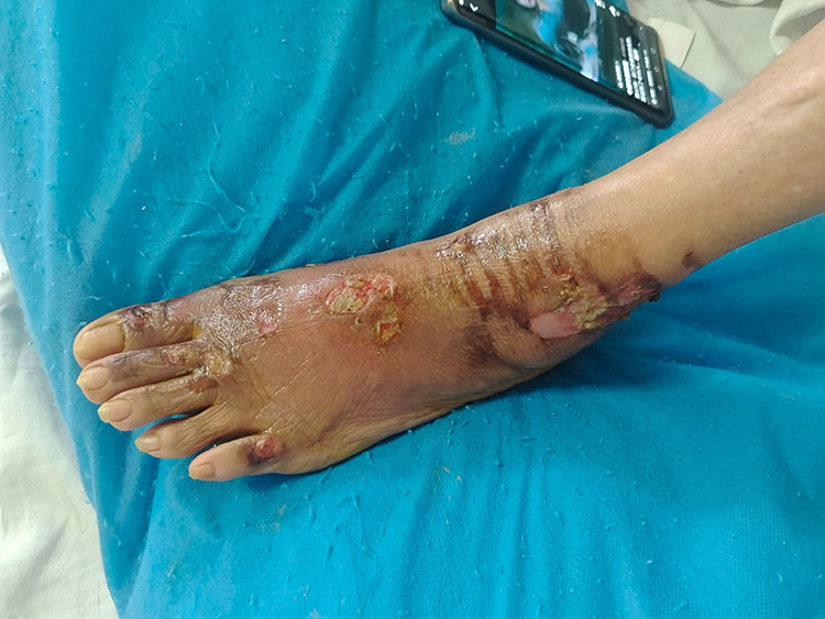 zoty中欧·(中国有限公司)官方网站