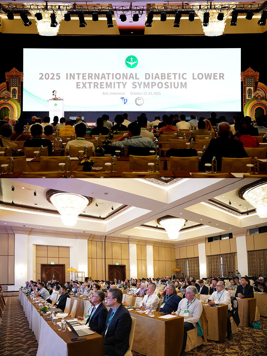 zoty中欧·(中国有限公司)官方网站