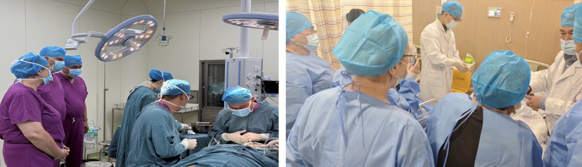 zoty中欧·(中国有限公司)官方网站