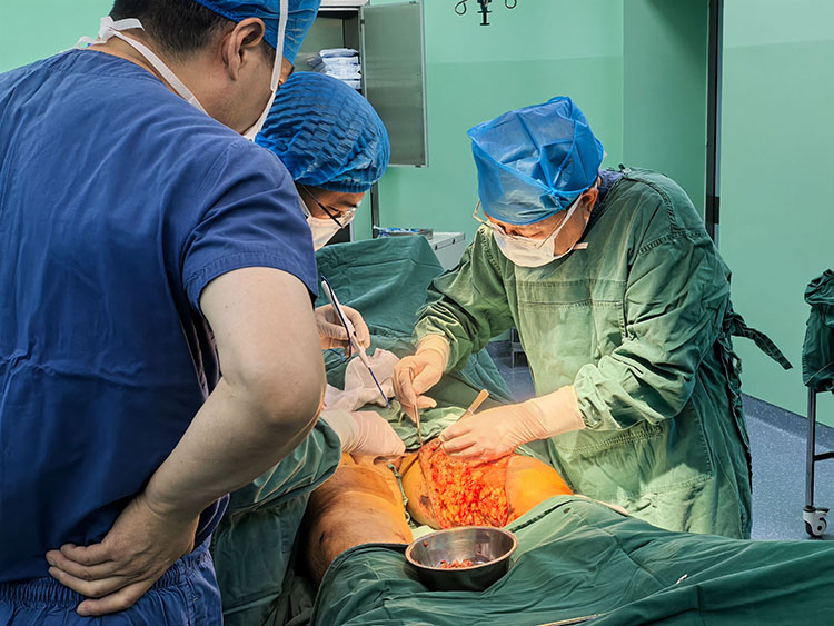 zoty中欧·(中国有限公司)官方网站