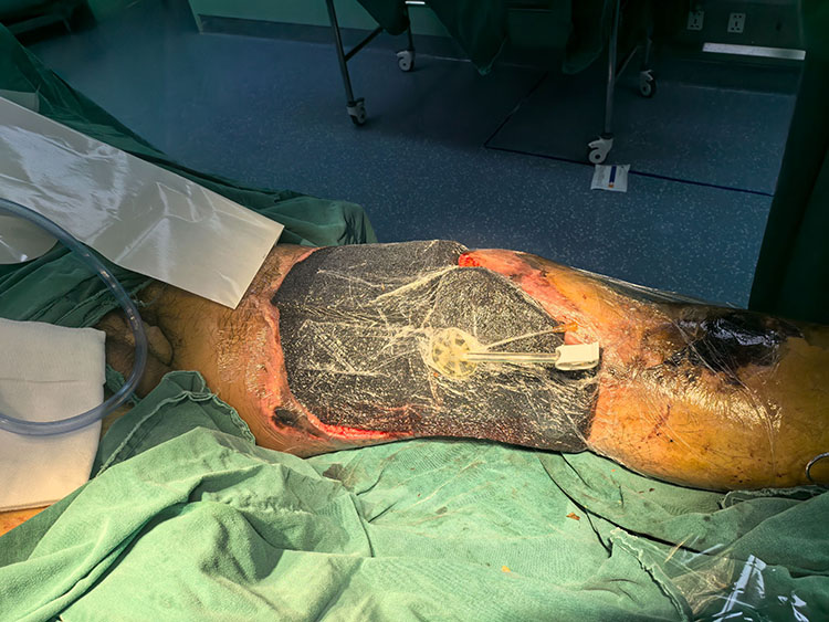 zoty中欧·(中国有限公司)官方网站