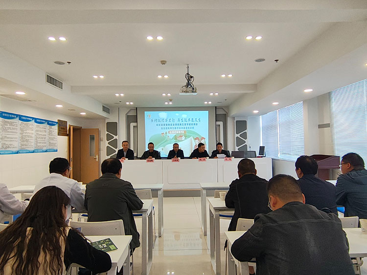 zoty中欧·(中国有限公司)官方网站