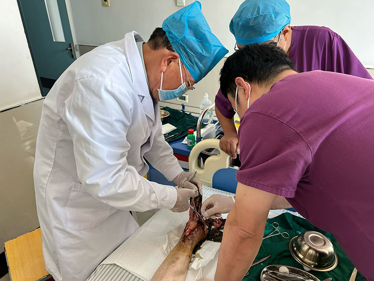 zoty中欧·(中国有限公司)官方网站