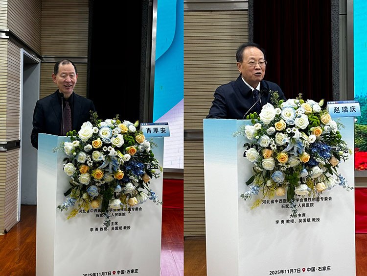 zoty中欧·(中国有限公司)官方网站