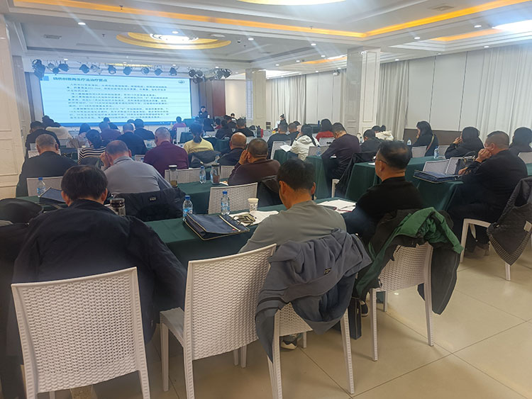 zoty中欧·(中国有限公司)官方网站