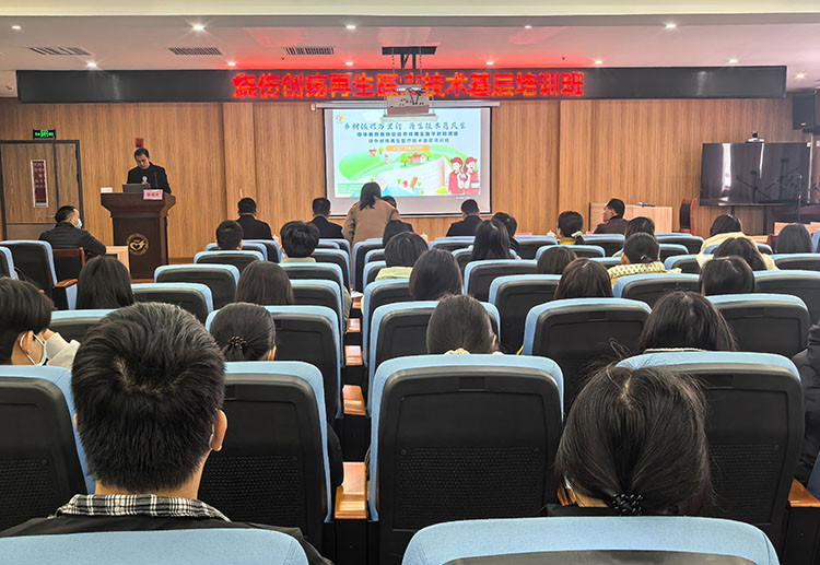 zoty中欧·(中国有限公司)官方网站