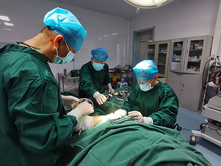 zoty中欧·(中国有限公司)官方网站