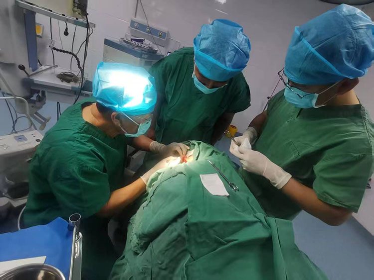 zoty中欧·(中国有限公司)官方网站