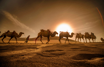 zoty中欧体育国际 “一带一起”建议培训平台