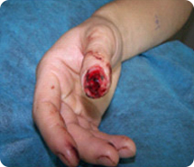 zoty中欧·(中国有限公司)官方网站