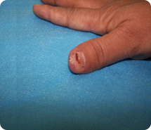 zoty中欧·(中国有限公司)官方网站