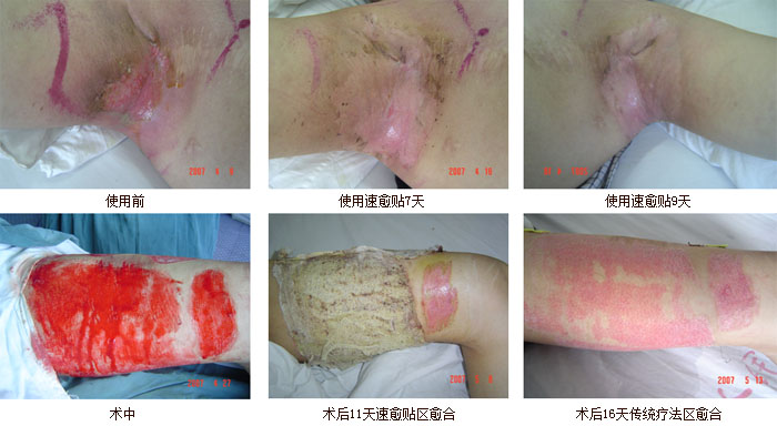 zoty中欧·(中国有限公司)官方网站