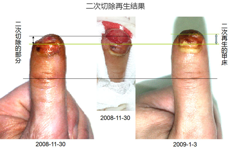 zoty中欧·(中国有限公司)官方网站