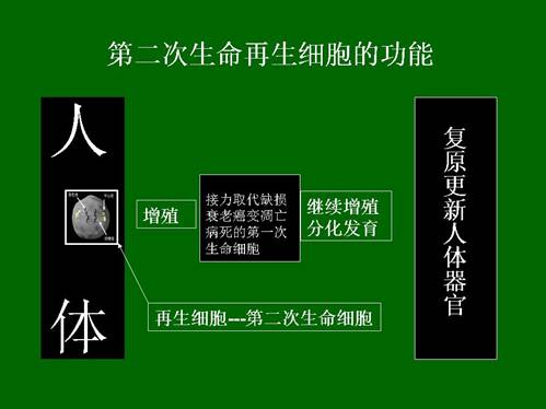 zoty中欧·(中国有限公司)官方网站