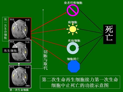 zoty中欧·(中国有限公司)官方网站