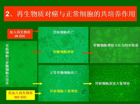 zoty中欧·(中国有限公司)官方网站