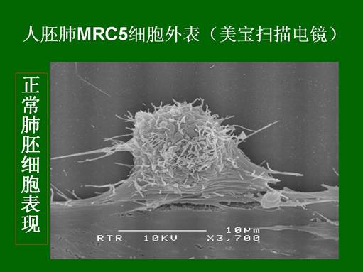 zoty中欧·(中国有限公司)官方网站