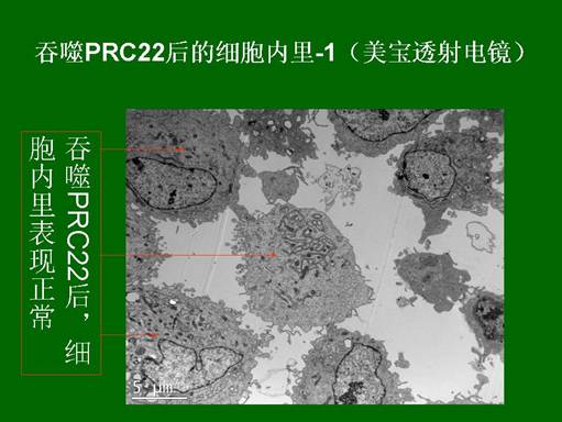 zoty中欧·(中国有限公司)官方网站