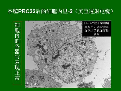 zoty中欧·(中国有限公司)官方网站