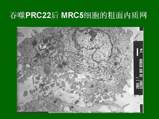 zoty中欧·(中国有限公司)官方网站