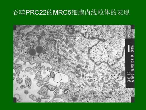 zoty中欧·(中国有限公司)官方网站