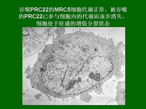 zoty中欧·(中国有限公司)官方网站