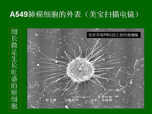 zoty中欧·(中国有限公司)官方网站
