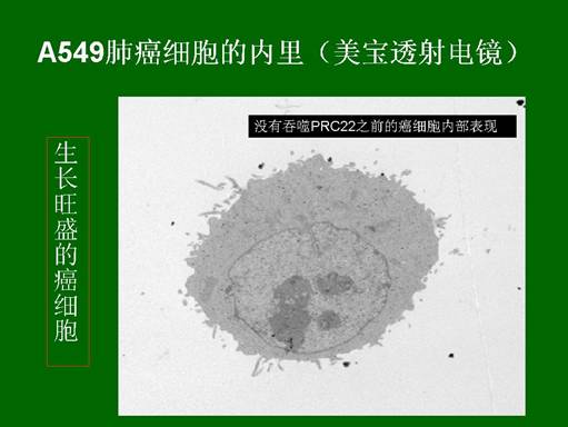 zoty中欧·(中国有限公司)官方网站