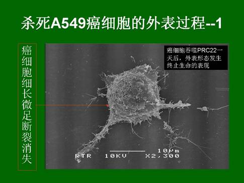 zoty中欧·(中国有限公司)官方网站