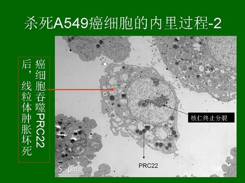 zoty中欧·(中国有限公司)官方网站