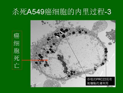 zoty中欧·(中国有限公司)官方网站