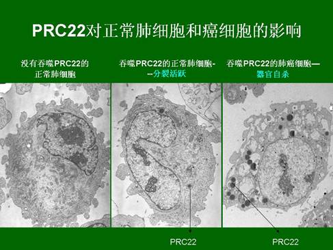 zoty中欧·(中国有限公司)官方网站